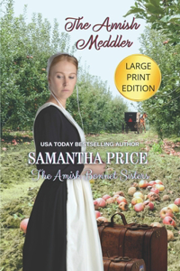 The Amish Meddler LARGE PRINT
