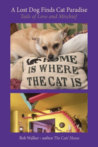 A Lost Dog Finds Cat Paradise