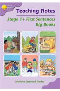 Biff, Chip and Kipper Level 1+ First Words Big Book Teaching Notes