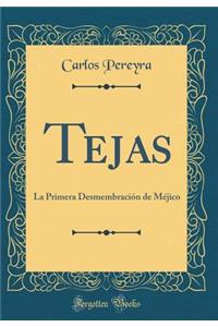 Tejas: La Primera Desmembración de Méjico (Classic Reprint)