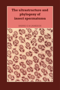 Ultrastructure and Phylogeny of Insect Spermatozoa