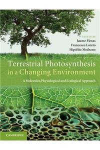 Terrestrial Photosynthesis in a Changing Environment