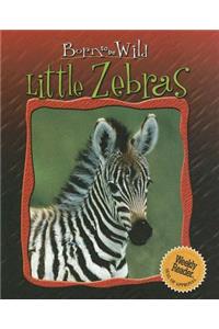 Little Zebras