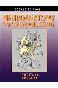 Neuroanatomy to Color and Study