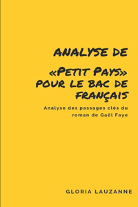 Analyse de Petit Pays pour le Bac de français