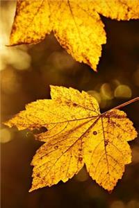 Golden Autumn Leaves Journal