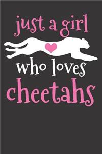 Cheetah Gift Notebook