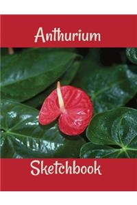 Anthurium Sketchbook