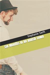 Six Months In An Amish Town