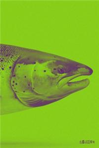 Salmon