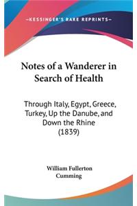 Notes of a Wanderer in Search of Health