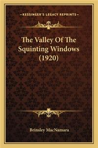 The Valley Of The Squinting Windows (1920)