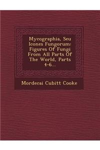 Mycographia, Seu Icones Fungorum: Figures of Fungi from All Parts of the World, Parts 4-6...