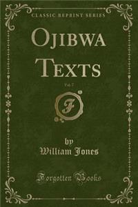 Ojibwa Texts, Vol. 7 (Classic Reprint)