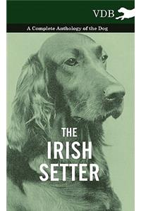 The Irish Setter - A Complete Anthology of the Dog