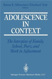 Adolescence in Context