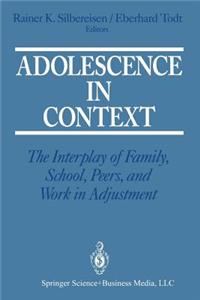 Adolescence in Context