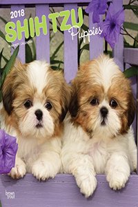 2018 Shih Tzu Puppies Wall Calendar