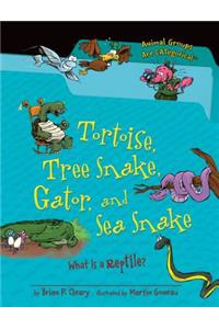 Tortoise, Tree Snake, Gator, and Sea Snake: What Is a Reptile?