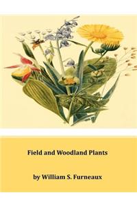 Field and Woodland Plants