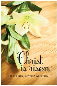 Christ Is Risen! Easter Lilies Bulletin (Pkg of 50)