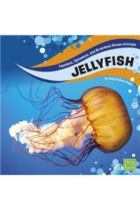 Jellyfish