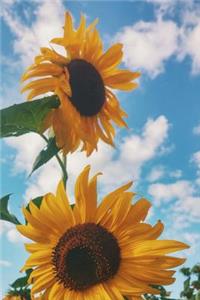 Two Sunny Yellow Sunflowers Journal