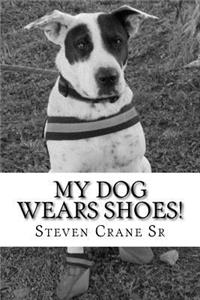 My dog wears shoes!