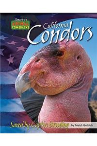 California Condors