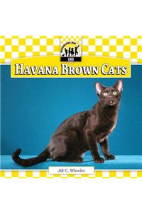 Havana Brown Cats