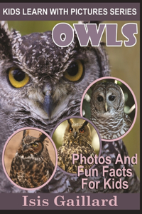 Owls