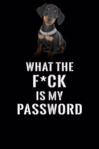 What The F*CK Is My Password, Miniature Dachshund