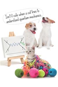 Cat Learning String Theory...