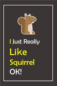 I Just Really Like Squirrel, OK !