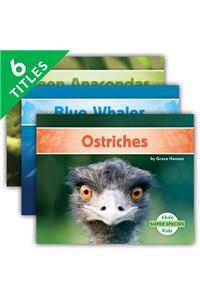 Super Species Set 1 (Set)