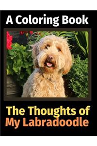 Thoughts of My Labradoodle