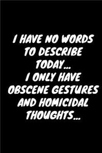 I Have No Words To Describe Today... I Only Have Obscene Gestures And Homicidal Thoughts...