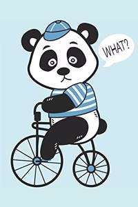 Cycling Panda