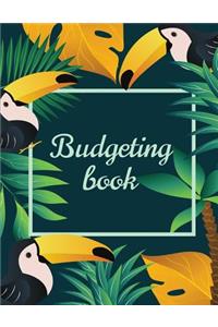 Budgeting Books: Large Print (8.5"x11") - 365 Days (12 Month) - Budget Organizer, Financial Planner, Monthly Bill Organizer: Budget Planner