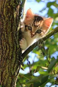 Curious Little Kitten Up in a Tree Journal