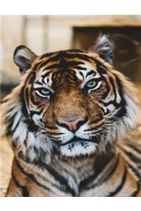 Tiger Notebook