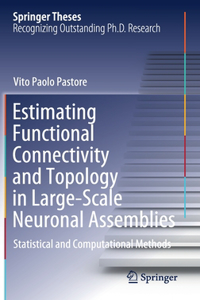 Estimating Functional Connectivity and Topology in Large-Scale Neuronal Assemblies