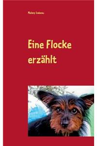 Eine Flocke erzählt