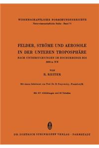 Felder, Strome und Aerosole in der Unteren Troposphare