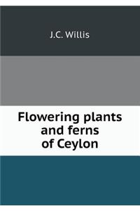 Flowering plants and ferns of Ceylon