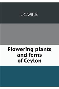 Flowering Plants and Ferns of Ceylon