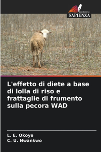 L'effetto di diete a base di lolla di riso e frattaglie di frumento sulla pecora WAD