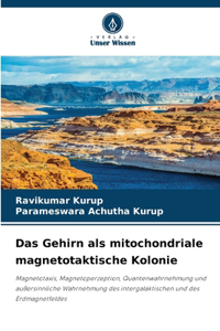 Gehirn als mitochondriale magnetotaktische Kolonie