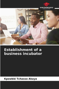 Establishment of a business incubator