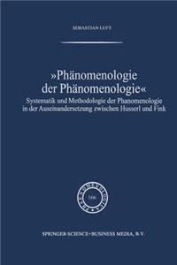 Phänomenologie Der Phänomenologie